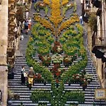 La Rosa Antica Caltagirone